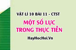 Trong lực là gì? Lực ma sát, lực căng dây, lực đẩy Archimedes đặc điểm và Công thức - Vật lí 10 bài 11 CTST